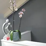 ゲストハウス Room73 3*