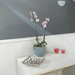 Room73 ゲストハウス パエストゥム